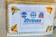 20-Years Celebration Cake